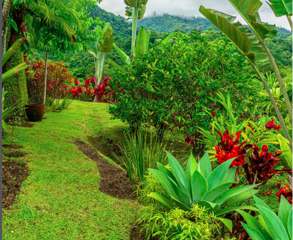 Herb & Meditation Garden